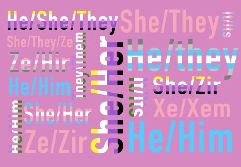The value of respecting pronouns