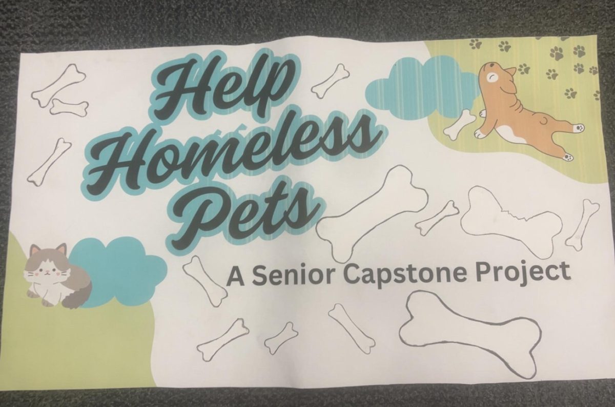 Protect a Paw: Students lead event to help homeless pets.