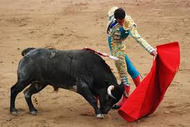 Should Bull Fighting be a Sport?