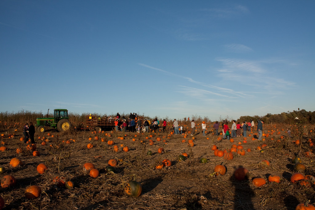 Take it or leaf it: metro area offers activities for all