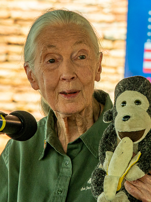 AL Echoes alum shares how Jane Goodall has left a lasting impact