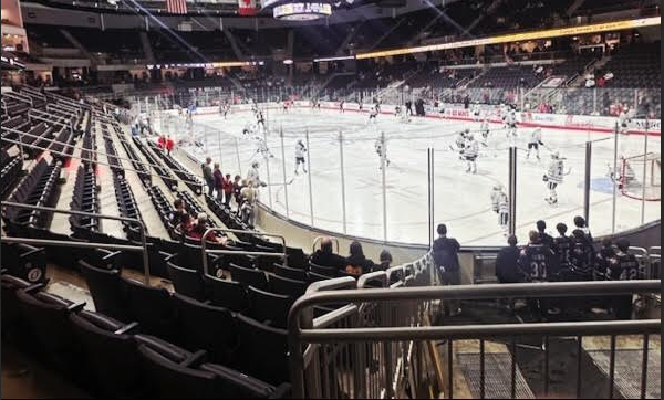 AL faculty predict Stanley Cup winners